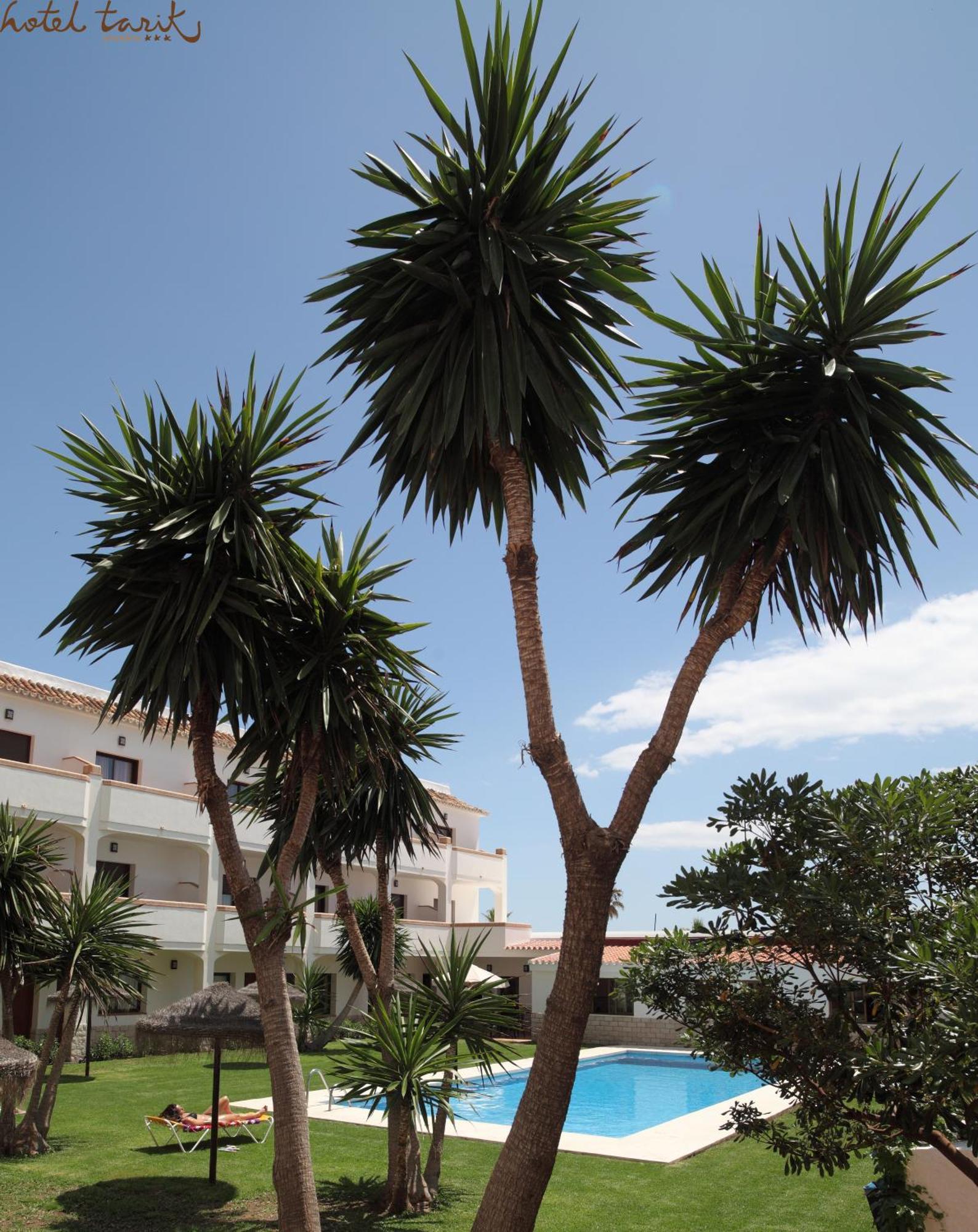 Hotel Tarik Torremolinos Exterior photo